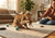 Cat Toys for Cats Who Ignore Everything