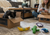 2026 Guide to Canadian Cat Toys