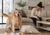 Your Dog Isn’t ‘Bad’, They’re Probably Just Bored