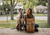 Buy Carna4 dog food online in Canada at Brindle Pet Supplies