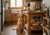 Buy Carna4 Dog Food Online in Canada
