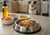 Buy pet food toppers online in Canada