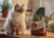 Buy farmina n&d cat food online in canada with brindle pet supplies