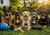 Best Dog Toys for Aggressive Chewers: Tough Toys That Actually Last