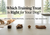 The Best Training Treats for Puppies and Adult Dogs in Canada (Top Picks for Better Results)