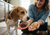 The Great Kibble Breakup: Why So Many Dogs Suddenly Prefer Dr. Marty