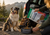 What Happens to Dog Food During Processing? Kibble vs Freeze-Dried vs Air-Dried Explained