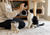 The Complete Guide to Cat Treats in Canada
