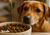 Buy Oil Food Toppers for Dogs and Cats Online in Canada