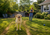 Can You Still Fix Your Lawn Before Fall If You Have Dogs?