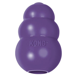 KONG Senior