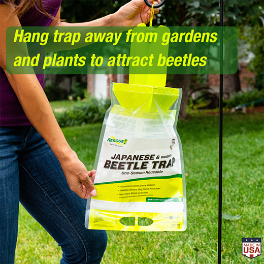 Rescue Japanese Beetle Trap - Lawn and Garden Safe