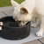 Brindle Pet Supplies
