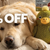 Brindle Pet Supplies