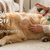 Brindle Pet Supplies