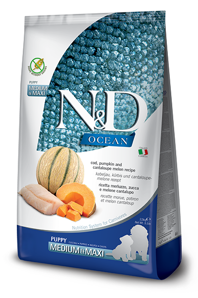 Farmina N and D Ocean Cod, Pumpkin, Cantaloupe Medium/Maxi Puppy - 5.5 lbs