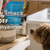 Brindle Pet Supplies
