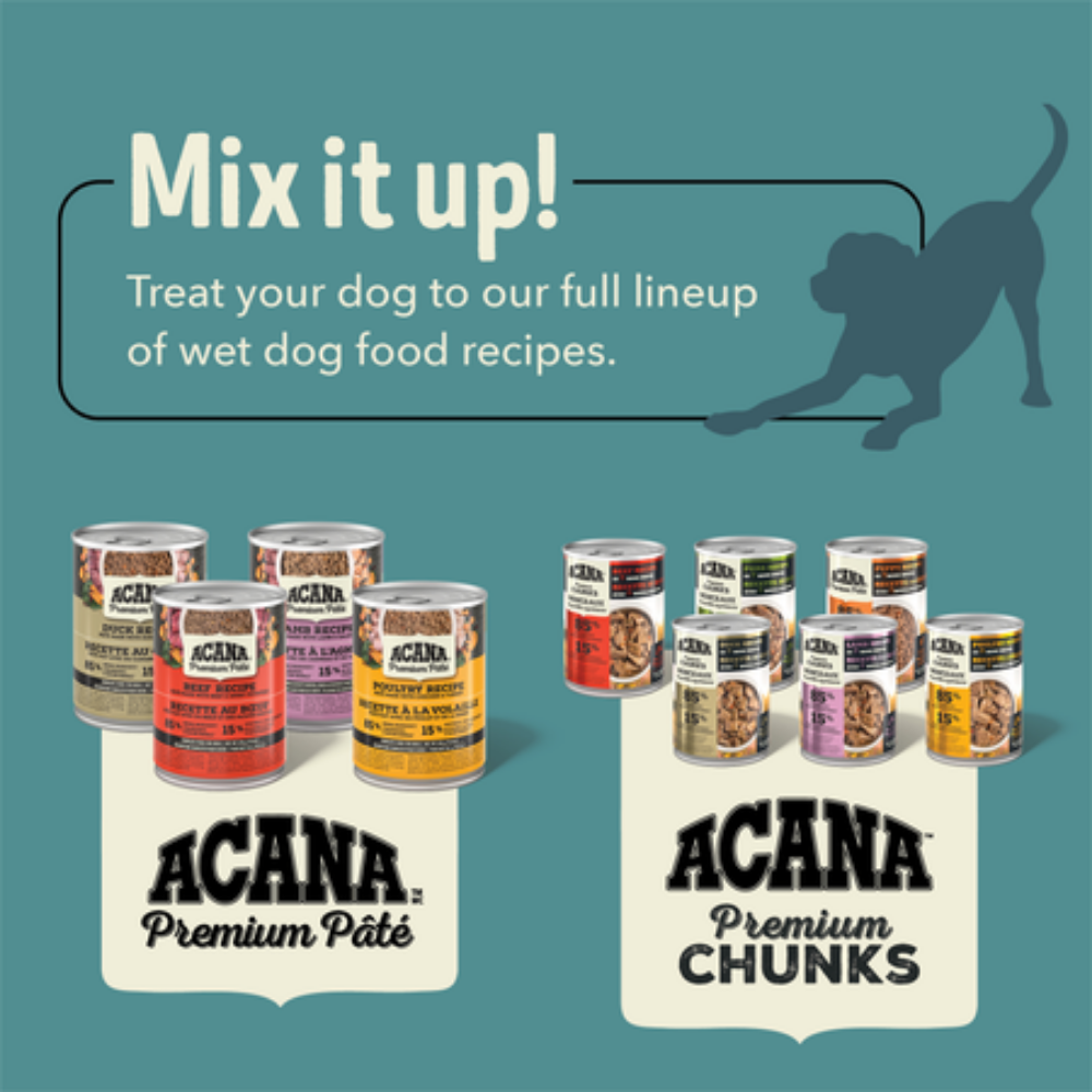 ACANA Premium Pate Beef Dog Food