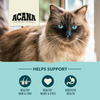 Acana Bountiful Catch Cat Food - 10 lbs