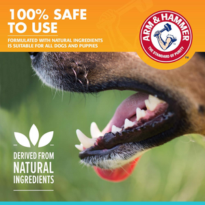 Arm and Hammer Fresh Breath Vanilla Ginger Toothpaste