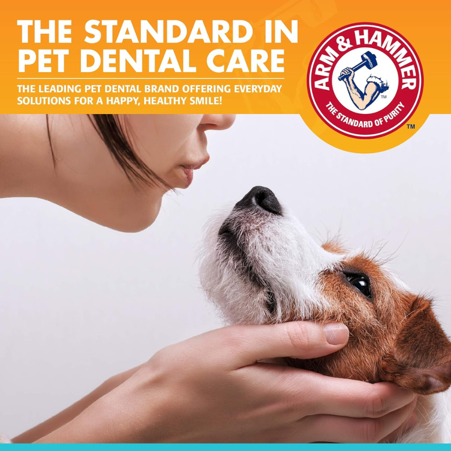 Arm and Hammer Fresh Breath Vanilla Ginger Toothpaste