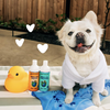 earthbath Oatmeal and Aloe Shampoo Vanilla and Almond