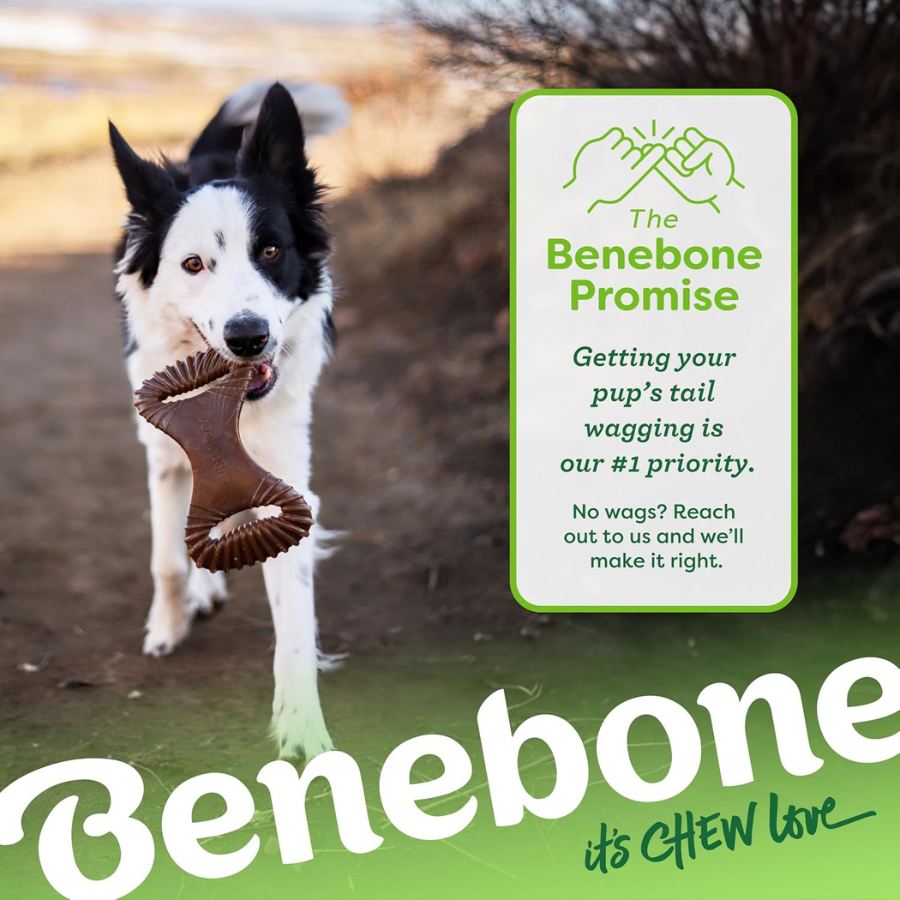 Benebone Dental Chew Toy Peanut Butter Flavour - Medium