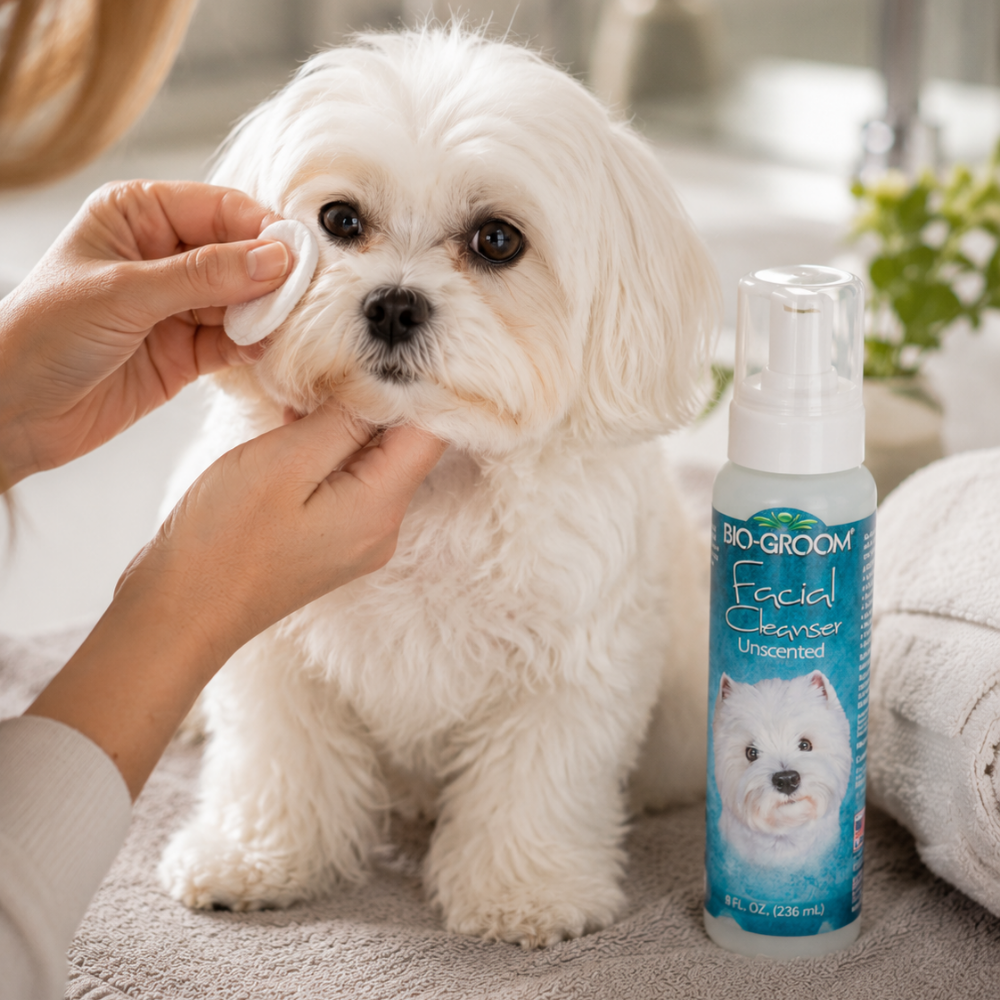 BioGroom Facial Cleanser Unscented - 8 oz