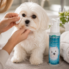 BioGroom Facial Cleanser Unscented - 8 oz