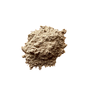 Blends for Life Gut Health+ - 5.3 oz