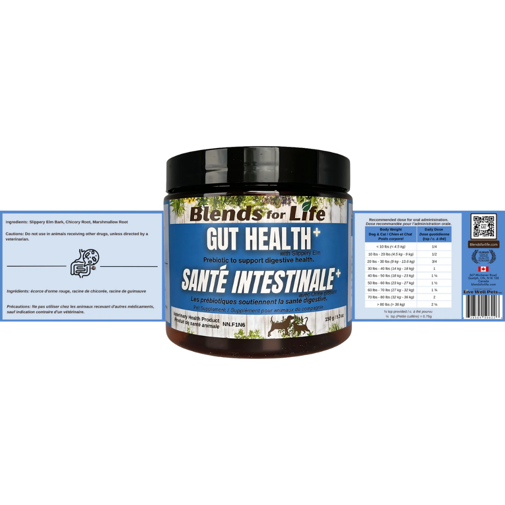 Blends for Life Gut Health+ - 5.3 oz