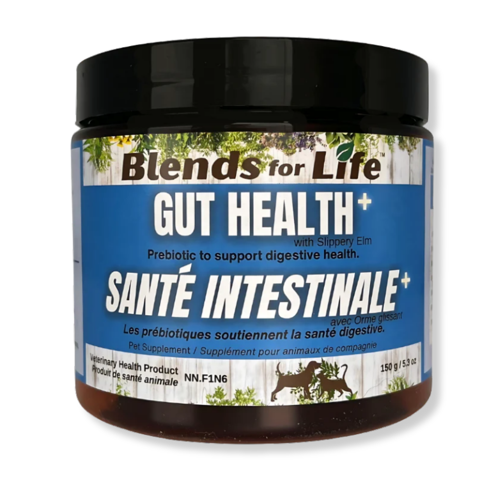 Blends for Life Gut Health+ - 5.3 oz