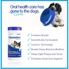 Bluestem Oral Care Dental Wipes