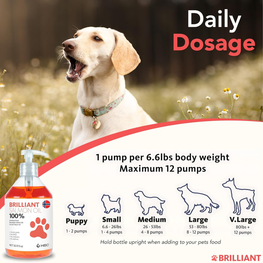 Brilliant Salmon Oil