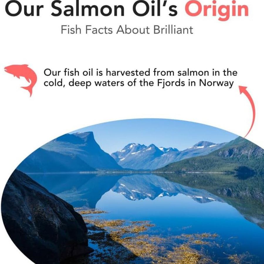 Brilliant Salmon Oil