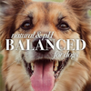 Burt's Bees Eye Wash For Dogs