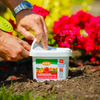 C-I-L All Purpose Plant Food 20-20-20