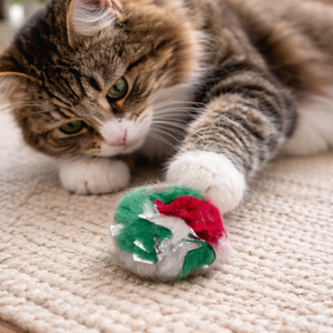 Cancor Crinkle Ball Cat Toy