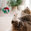 Cancor Crinkle Ball Cat Toy