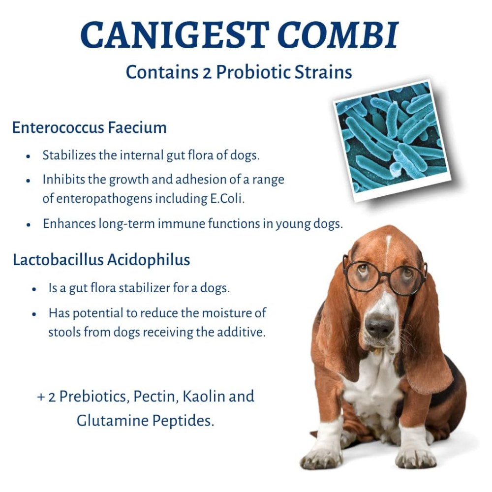 Canigest Combi Prebiotic and Probiotic Diarrhea Treatment for Dogs