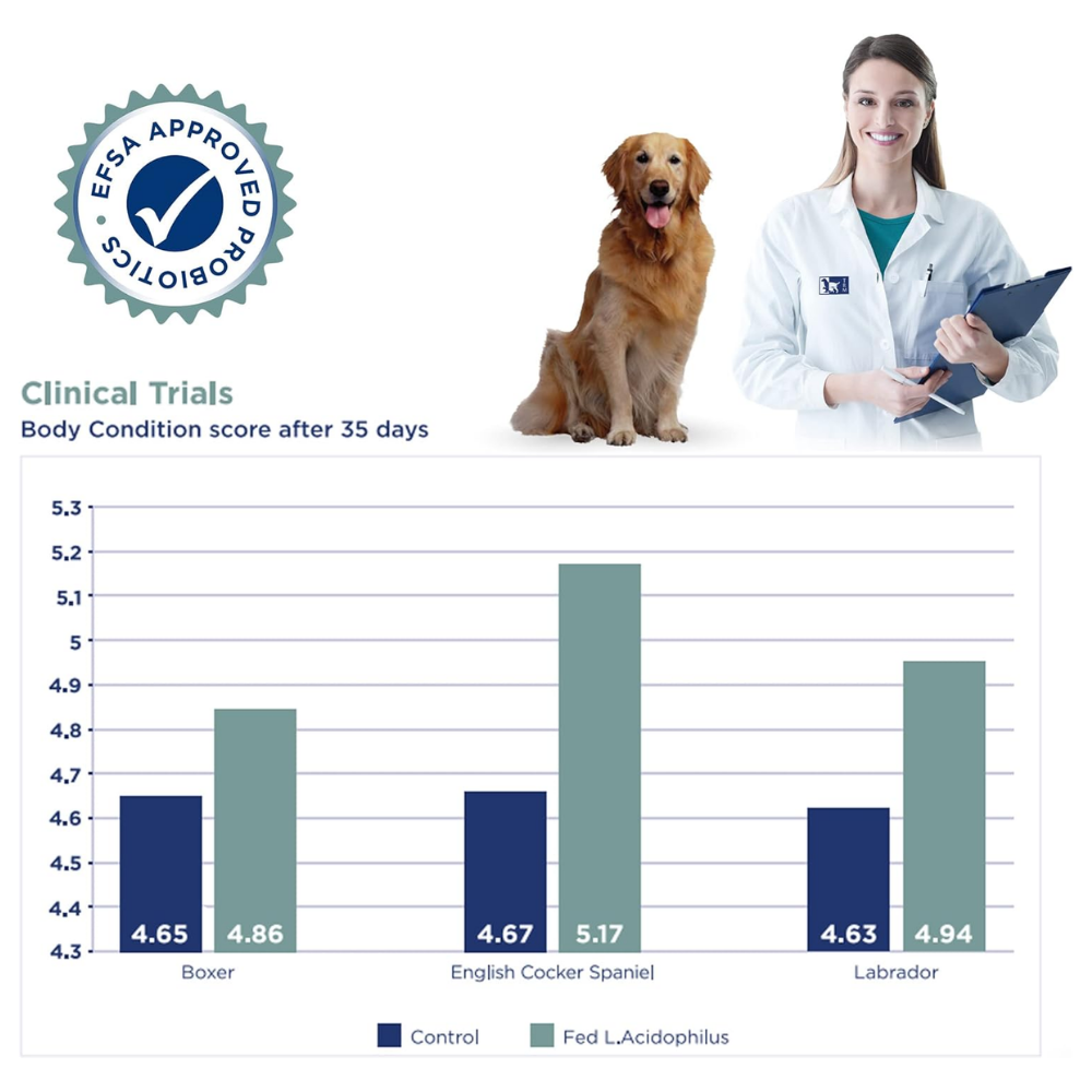 Canigest Combi Prebiotic and Probiotic Diarrhea Treatment for Dogs