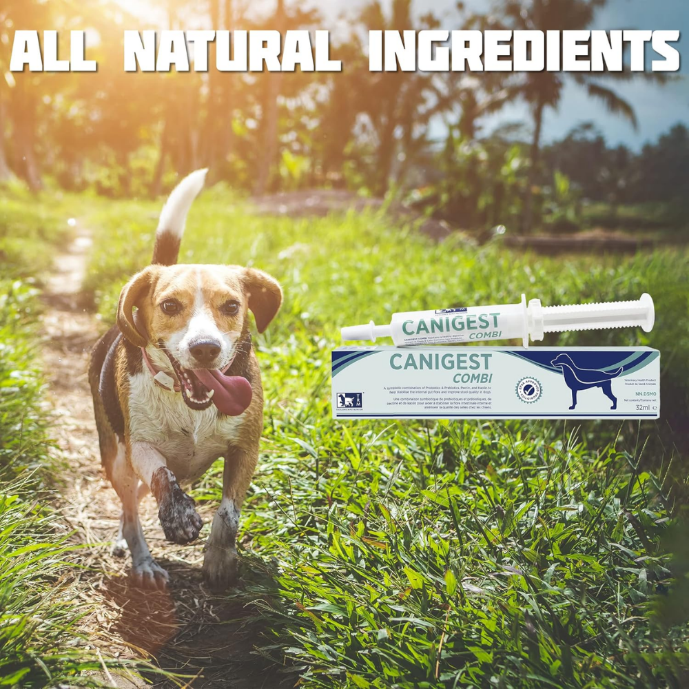 Canigest Combi Prebiotic and Probiotic Diarrhea Treatment for Dogs