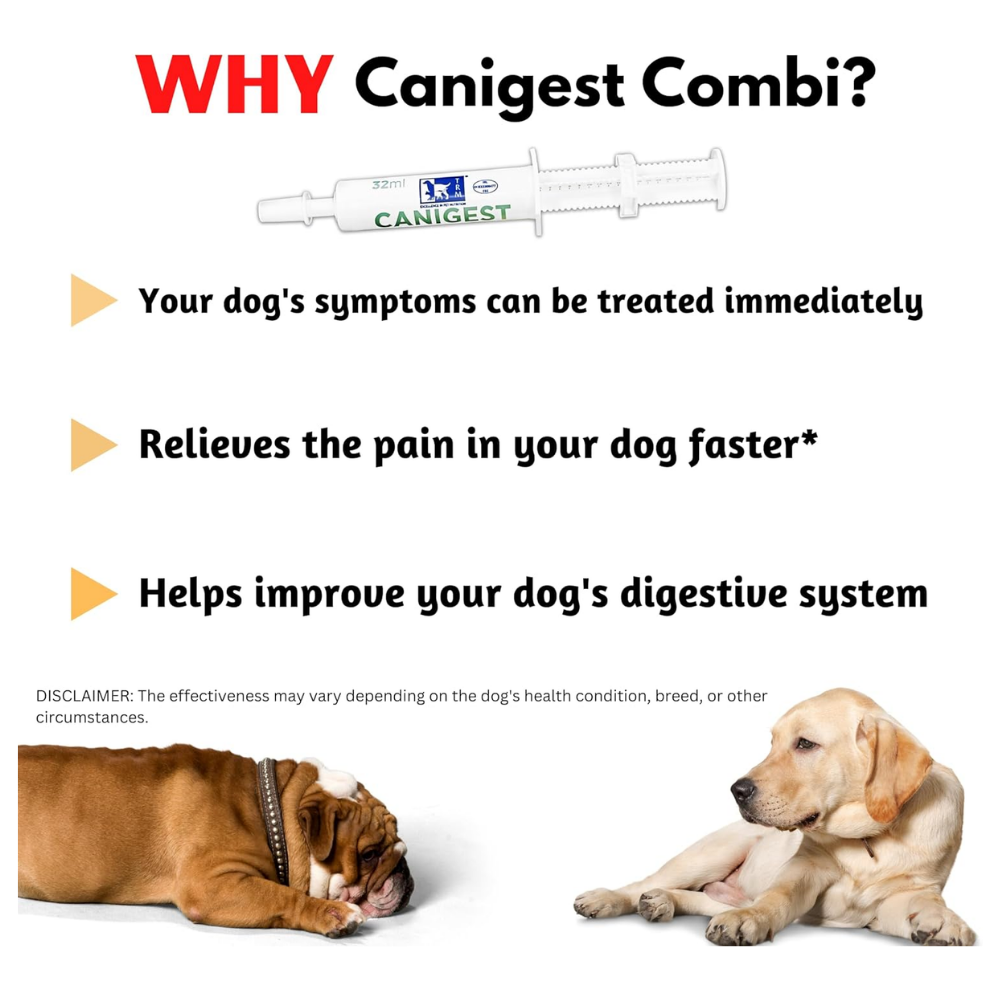 Canigest Combi Prebiotic and Probiotic Diarrhea Treatment for Dogs