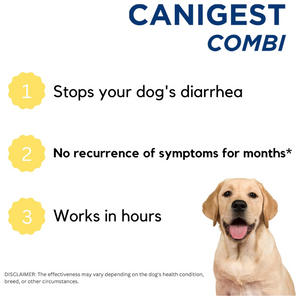 Canigest Combi Prebiotic and Probiotic Diarrhea Treatment for Dogs