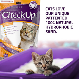 CheckUp Cat Wellness Test