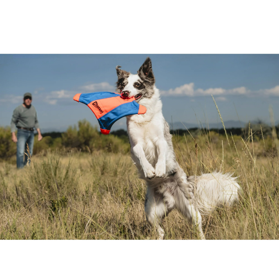 Chuckit! Flying Squirrel