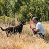Chuckit! Sport Ball Launcher - Various Sizes