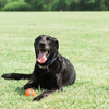 Chuckit! Tennis Balls - 2 Pack