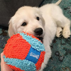 Chuckit! Indoor Fitness Ball - Medium