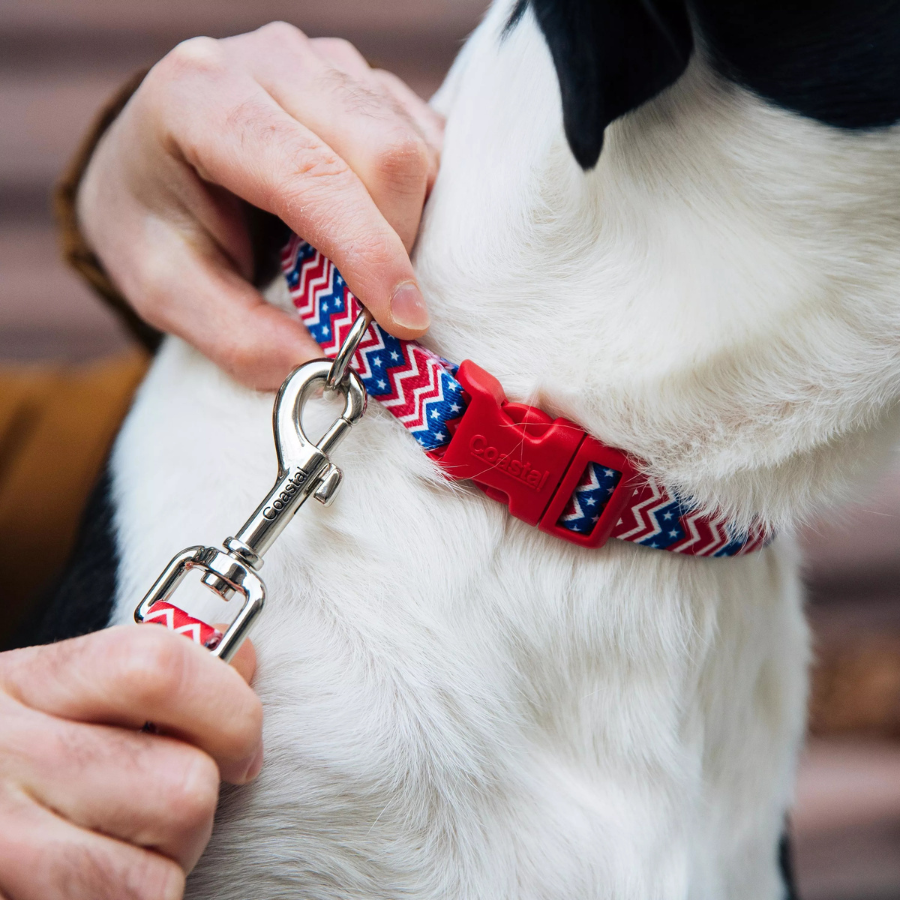 Coastal Black Bones Leash